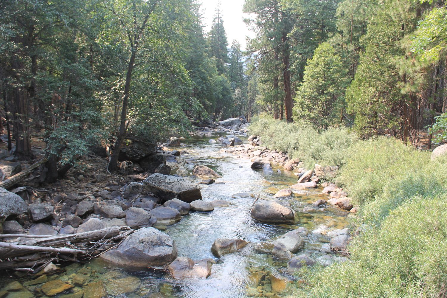 Zumwalt Meadows Trail 